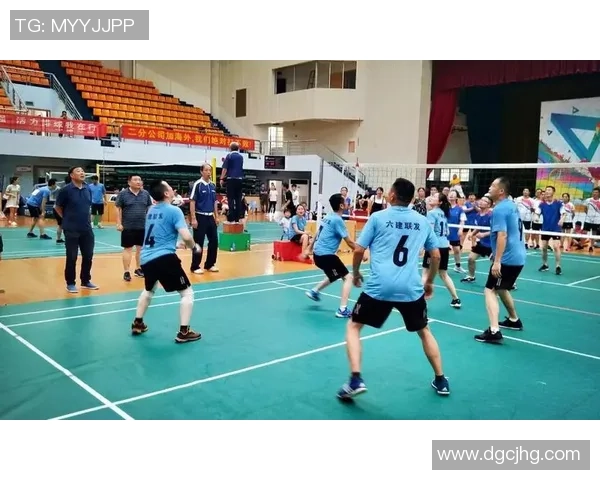 张娜的排球之路:从赛场拼搏到人生哲学的对话分享