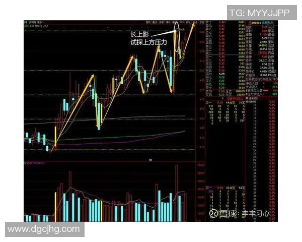 杭州排球队与北京排球队赛后复盘分析比赛节奏与战术对比